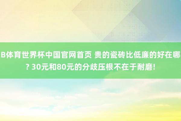 B体育世界杯中国官网首页 贵的瓷砖比低廉的好在哪? 30元和80元的分歧压根不在于耐磨!