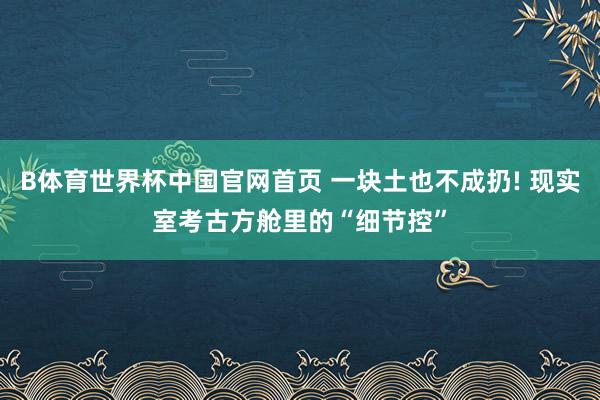 B体育世界杯中国官网首页 一块土也不成扔! 现实室考古方舱里的“细节控”