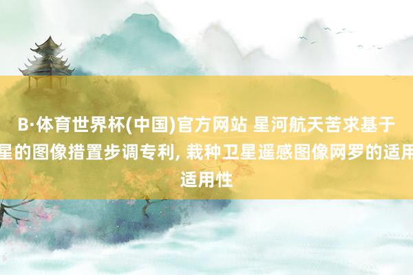 B·体育世界杯(中国)官方网站 星河航天苦求基于卫星的图像措置步调专利， 栽种卫星遥感图像网罗的适用性