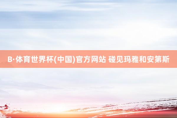 B·体育世界杯(中国)官方网站 碰见玛雅和安第斯