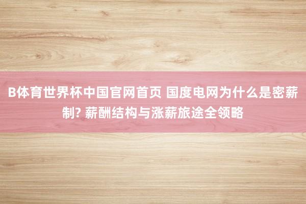B体育世界杯中国官网首页 国度电网为什么是密薪制? 薪酬结构与涨薪旅途全领略