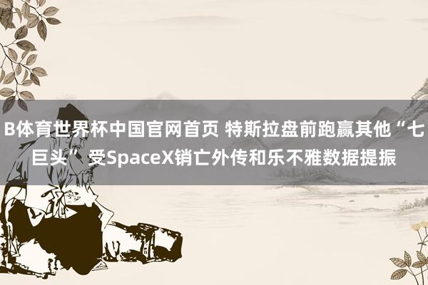 B体育世界杯中国官网首页 特斯拉盘前跑赢其他“七巨头” 受SpaceX销亡外传和乐不雅数据提振