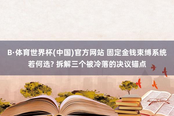 B·体育世界杯(中国)官方网站 固定金钱束缚系统若何选? 拆解三个被冷落的决议锚点