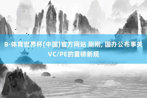 B·体育世界杯(中国)官方网站 刚刚， 国办公布事关VC/PE的重磅新规