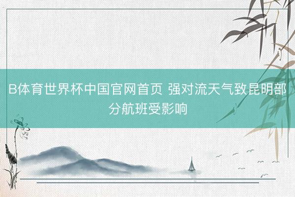 B体育世界杯中国官网首页 强对流天气致昆明部分航班受影响