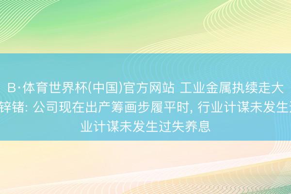 B·体育世界杯(中国)官方网站 工业金属执续走大涨! 驰宏锌锗: 公司现在出产筹画步履平时， 行业计谋未发生过失养息