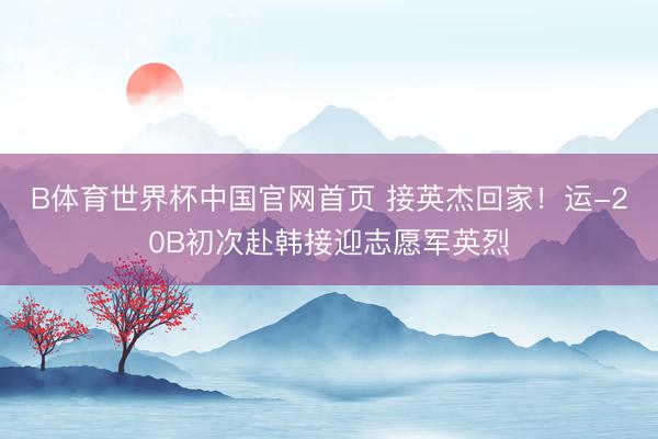B体育世界杯中国官网首页 接英杰回家！运-20B初次赴韩接迎志愿军英烈