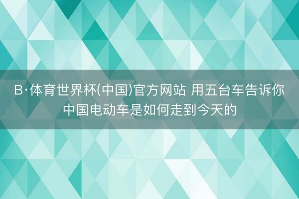 B·体育世界杯(中国)官方网站 用五台车告诉你中国电动车是如何走到今天的