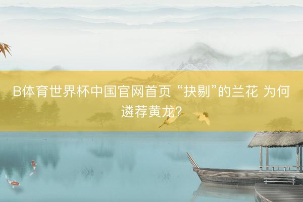 B体育世界杯中国官网首页 “抉剔”的兰花 为何遴荐黄龙？