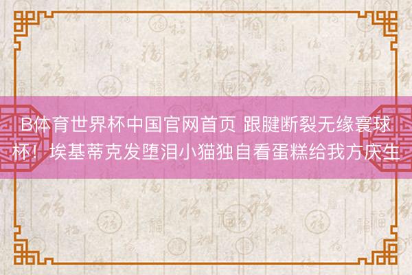 B体育世界杯中国官网首页 跟腱断裂无缘寰球杯!埃基蒂克发堕泪小猫独自看蛋糕给我方庆生